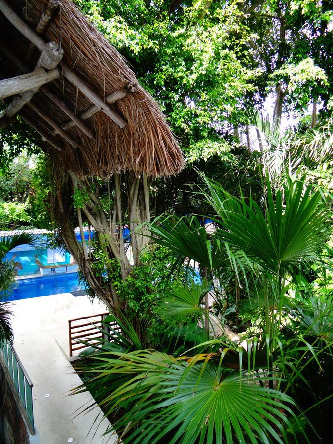Casa Tucan Hotel Плая дел Кармен Екстериор снимка
