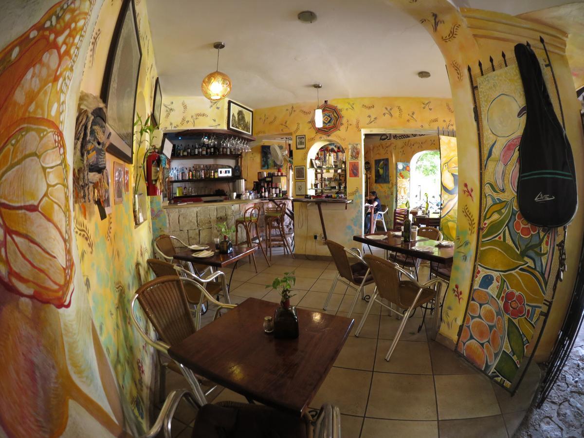 Casa Tucan Hotel Плая дел Кармен Екстериор снимка