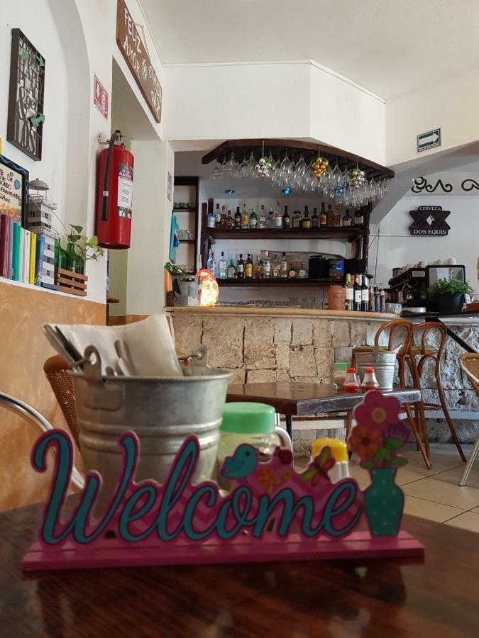 Casa Tucan Hotel Плая дел Кармен Екстериор снимка